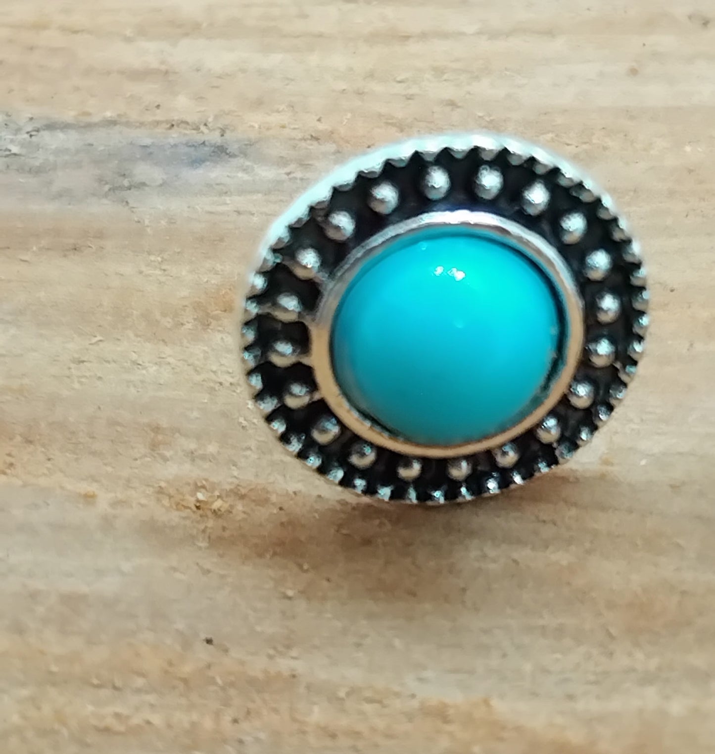 Texas Earrings
